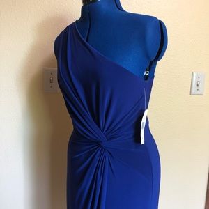 NWT Ralph Lauren Knee Length Dress